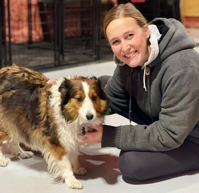 Dog day care in Long Prairie Minnesota Hilltop Boarding 1