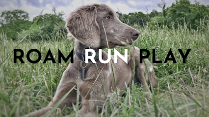 Dog day care in Lookout Mountain Georgia EdenThistle Dog Co