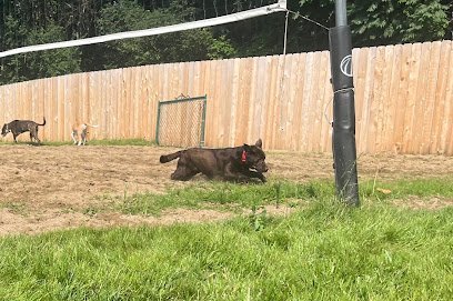 Dog day care in Louisville Kentucky Happy Hounds Middletown 1