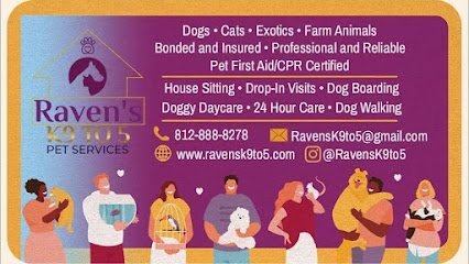 Dog day care in Louisville Kentucky Raven s K9 to 5 Pet Services 1