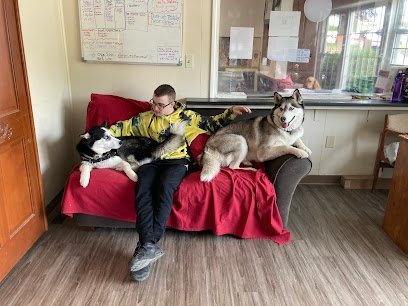 Dog day care in Lowell Massachusetts 3 Muttsketeers Pet 1