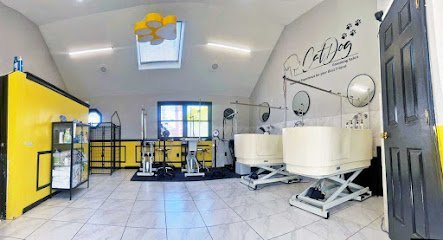 Dog day care in Lowell Massachusetts CatDog Grooming Salon 1