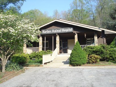Dog day care in Loyall Kentucky Harlan Animal Hospital 1