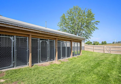 Dog day care in Ludington Michigan Kistler Kennels 1