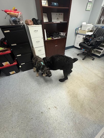 Dog day care in Macon Georgia Wagsworth Hotel