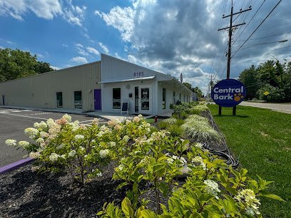 Dog day care in Madeira Ohio Central Bark Madeira Indian Hill 1