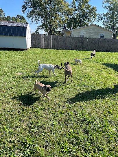 Dog day care in Madisonville Tennessee TR Pet Care Boarding 1