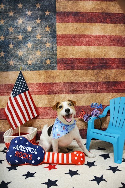 Dog day care in Magnolia Texas Forest Shadows Pet Resort 1