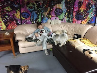 Dog day care in Mahopac New York Pawsitively Petastic LLC 1