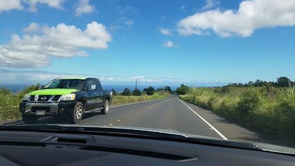 Dog day care in Makawao Hawaii Land of OZ 1