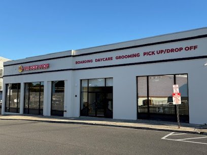 Dog day care in Mamaroneck New York The Dog Stop Mamaroneck NY 1