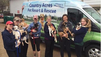 Dog day care in Manchester Missouri Country Acres Pet Resort 1