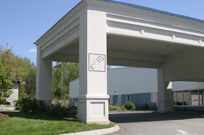 Dog day care in Manchester New Hampshire All Dogs Gym Inn 1