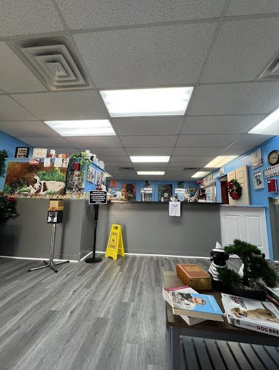 Dog day care in Manhattan Illinois Pet Envy 1