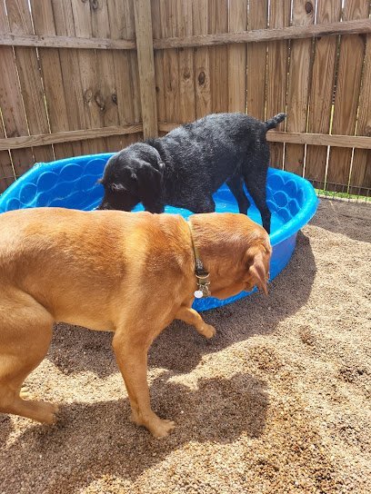 Dog day care in Mannford Oklahoma Howl at the Moon Dog Lodge 1