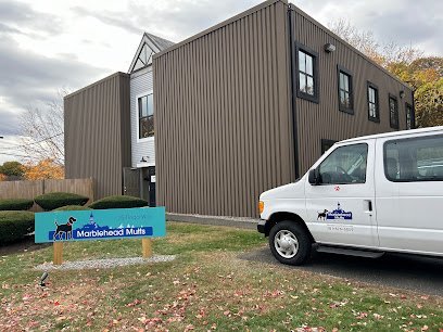 Dog day care in Marblehead Massachusetts Marblehead Mutts 1