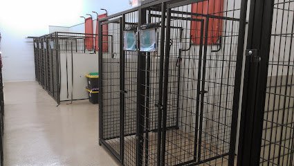 Dog day care in Marengo Ohio Premier Boarding Kennel 1