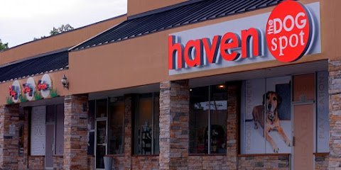 Dog day care in Marietta Georgia Haven The Dog Spot