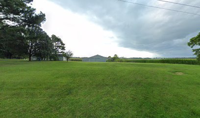 Dog day care in Marion Illinois Sharp Performance Pet Services 1