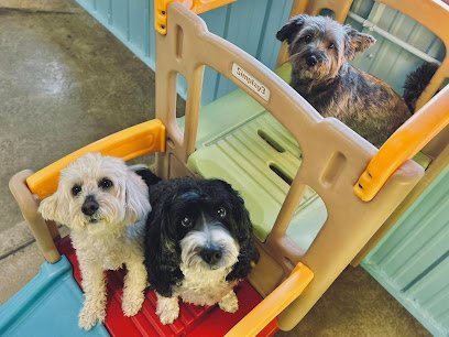 Dog day care in Marion Iowa Apple Creek Canine Resort Daycare 1