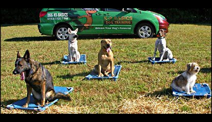 Dog day care in Marlton New Jersey K9 Basics Dog Training 1