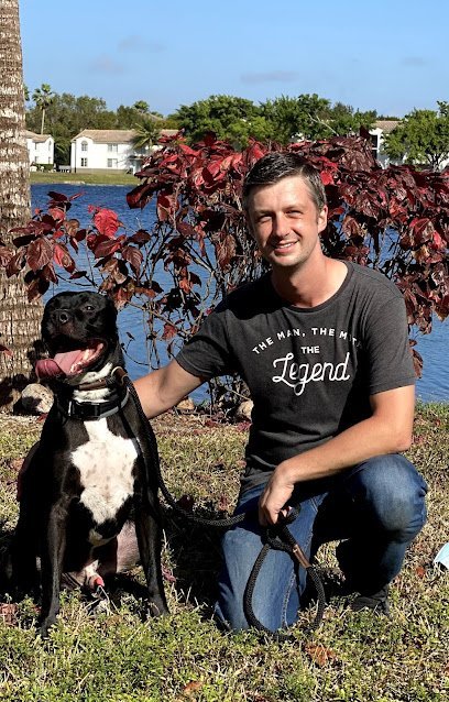 Dog day care in Martinton Illinois My Dog Rehab Doggy Daycare 1