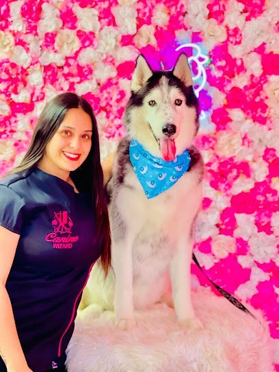 Dog day care in Matthews North Carolina Canine Wizard Matthews North Carolina Pet Groomer 1