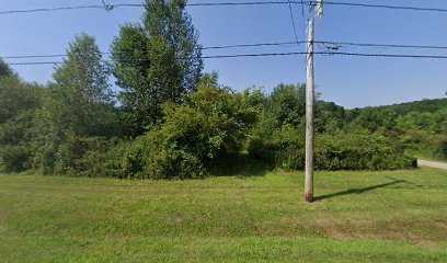 Dog day care in Mayville New York West Lake Boarding 1