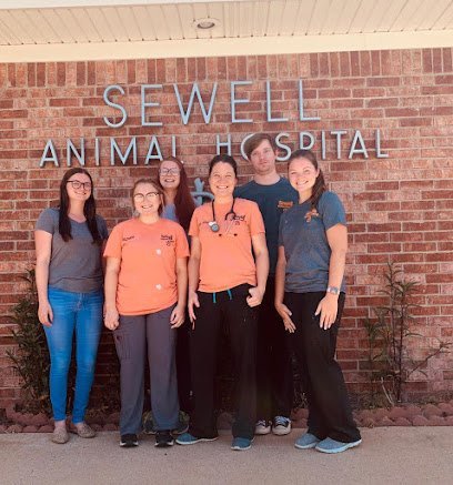 Dog day care in McAlester Oklahoma Sewell Animal Hospital 1