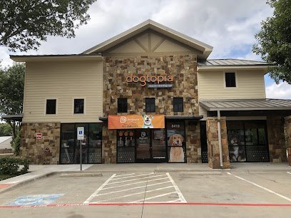 Dog day care in McKinney Texas Dogtopia of McKinney 1