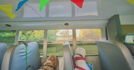 Dog day care in Memphis Tennessee The Doghouse School 1