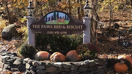 Dog day care in Mendon Massachusetts PAWS Bed Biscuit 1