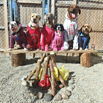 Dog day care in Metamora Michigan Flying A Canine Ranch 1