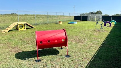 Dog day care in Miami Oklahoma Zoomies Pet Resort LLC 1