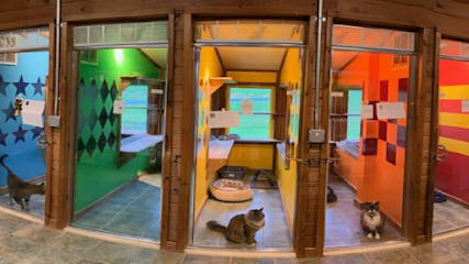 Dog day care in Middle Grove New York Milton Manor Pet Resort Spa 1