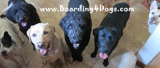 Dog day care in Middleborough Massachusetts Boarding4Dogs LLC 1