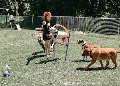 Dog day care in Middleborough Massachusetts theDOGGhouse 1