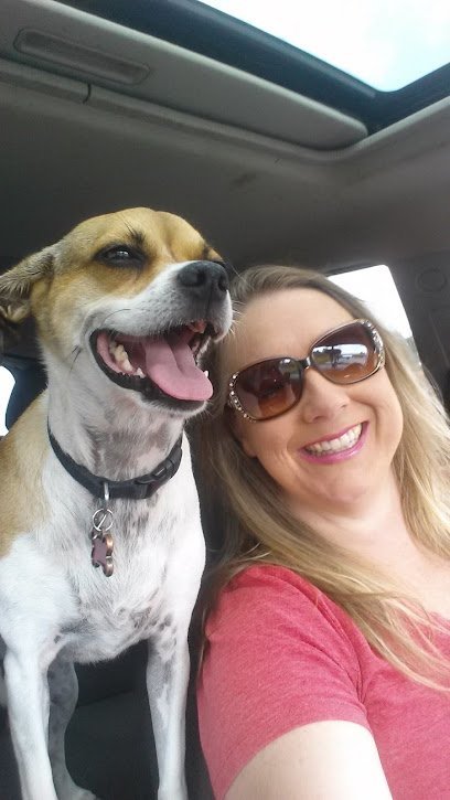 Dog day care in Middletown Ohio Bark Fitness Pet Care 1