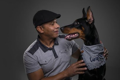 Dog day care in Middletown Township New Jersey Camp K Nine 1