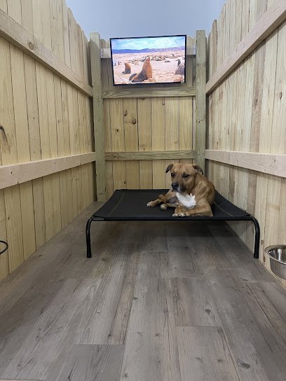 Dog day care in Millersport Ohio Buckeye Lake Bark Club 1