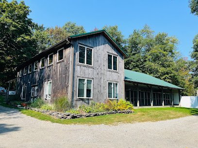 Dog day care in Millerton New York Ledgewood Boarding Inc  1