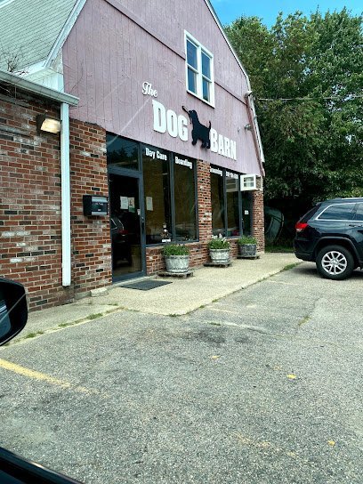 Dog day care in Millis Massachusetts Dog Barn 1