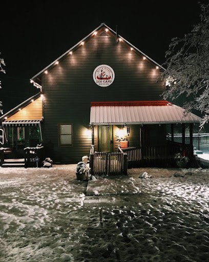 Dog day care in Mills River North Carolina Mills River Dog Camp 1