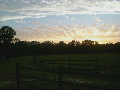 Dog day care in Millville New Jersey Pampered Pup Luxury Pet Resort 1