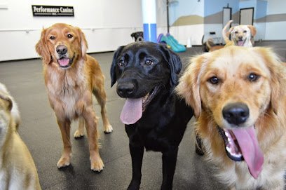 Dog day care in Milwaukie Oregon Performance Canine Inc  1