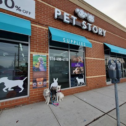 Dog day care in Mineola New York Pet Story NY 1