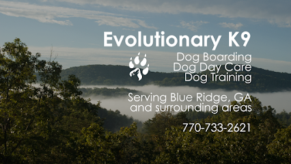 Dog day care in Mineral Bluff Georgia Evolutionary K9