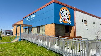 Dog day care in Minneapolis Minnesota Barks Rec North Loop 1