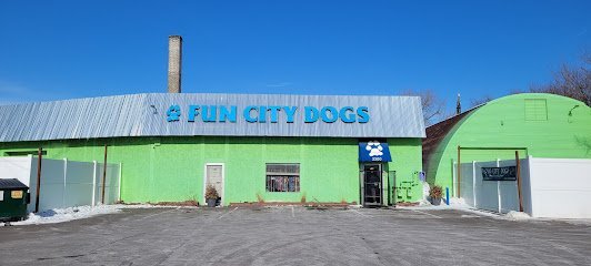 Dog day care in Minneapolis Minnesota Fun City Dogs 1
