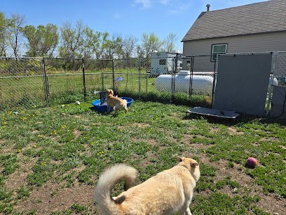 Dog day care in Minot North Dakota Prairie Wind Pet Lodge LLC 1